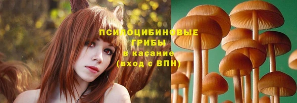МДПВ Армянск
