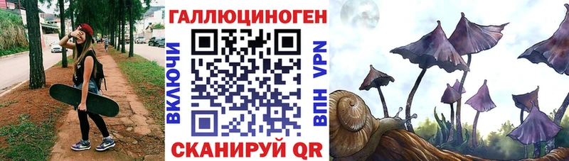 OMG ONION  купить наркоту  Камбарка  Галлюциногенные грибы мухоморы 